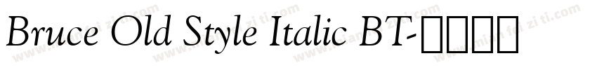 Bruce Old Style Italic BT字体转换